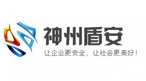 神州盾安 乘勢而上，勇做中國安全技術(shù)咨詢服務(wù)行業(yè)領(lǐng)跑者
